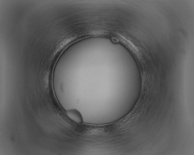 X0000116550155200912241602