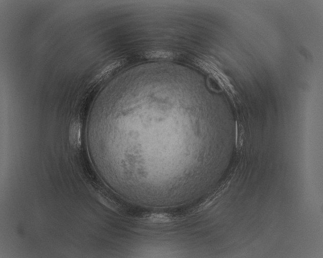 X0000116550157200912241602