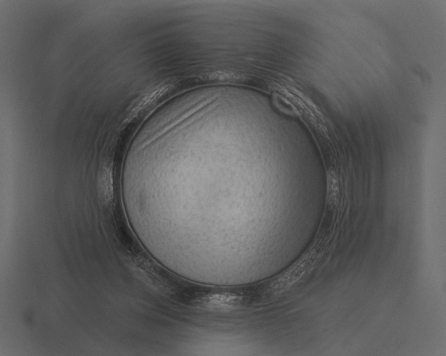 X0000116550158200912241602