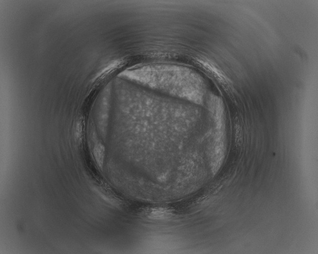 X0000116550165200912241602