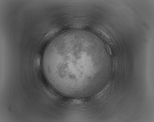 X0000116550166200912241602