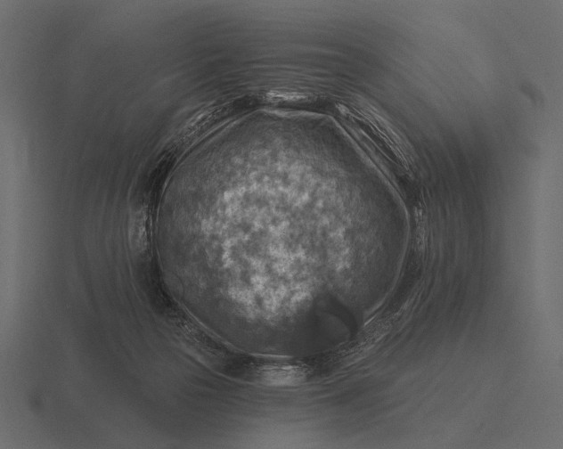 X0000116550169200912241602