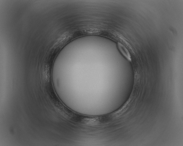 X0000116550170200912241602