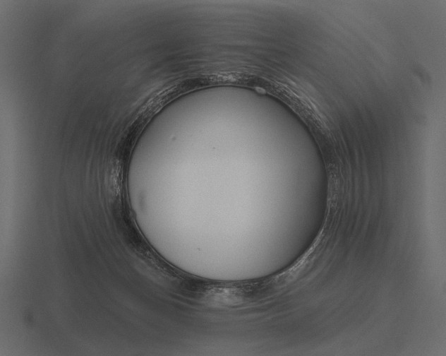 X0000116550174200912241602