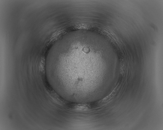 X0000116550175200912241602