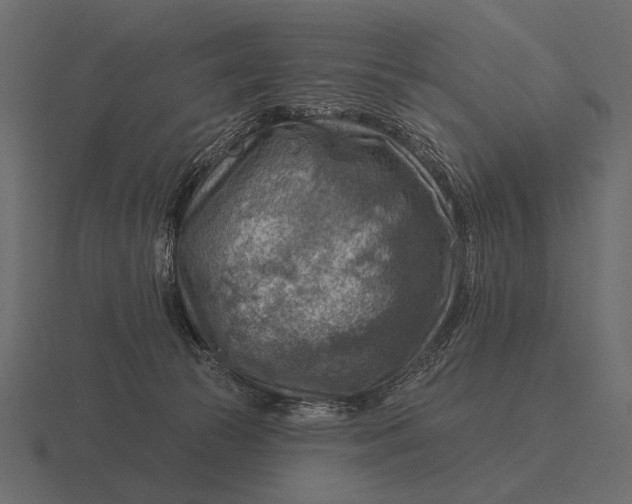 X0000116550177200912241602