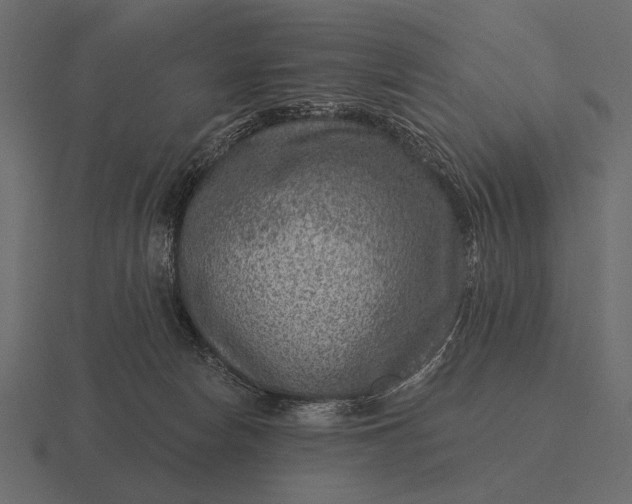 X0000116550178200912241602