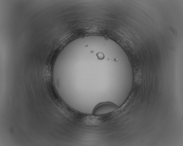 X0000116550179200912241602