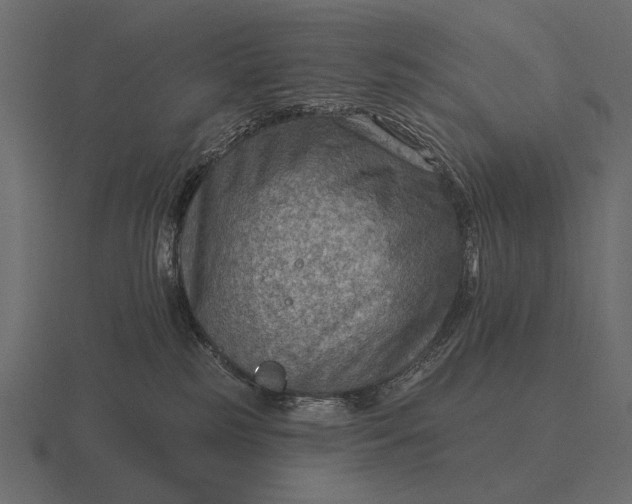 X0000116550185200912241602