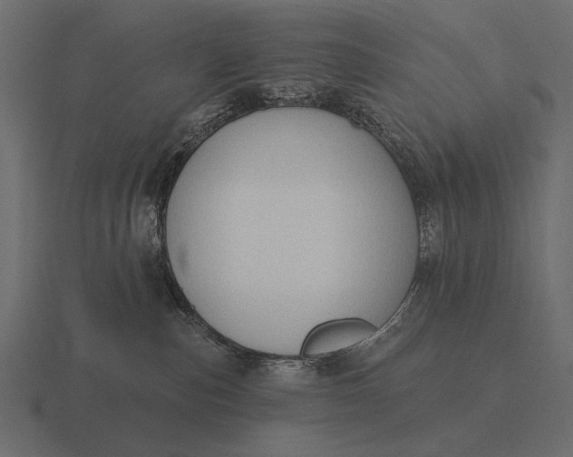 X0000116550187200912241602