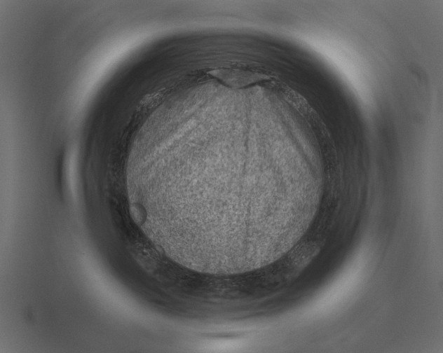 X0000116550189200912241602