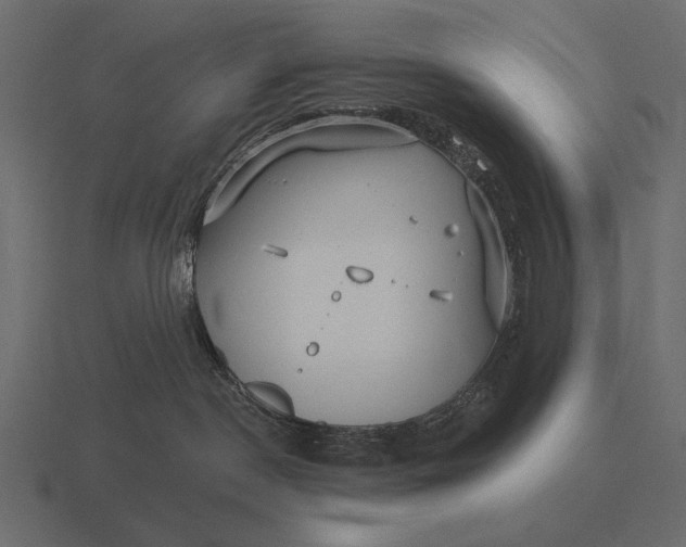 X0000116550190200912241602