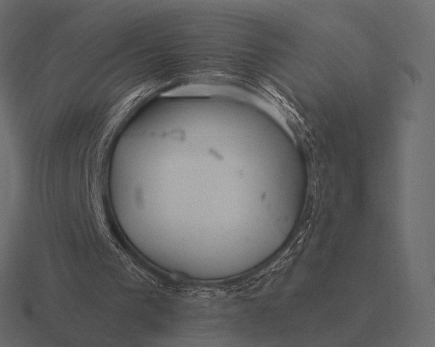 X0000116550193200912241602