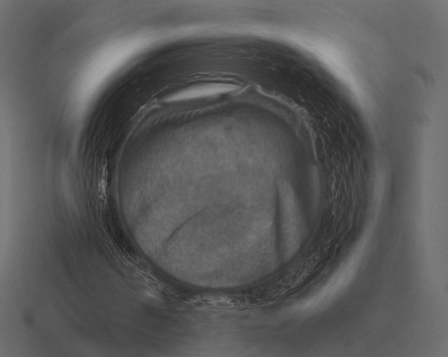 X0000116550194200912241602