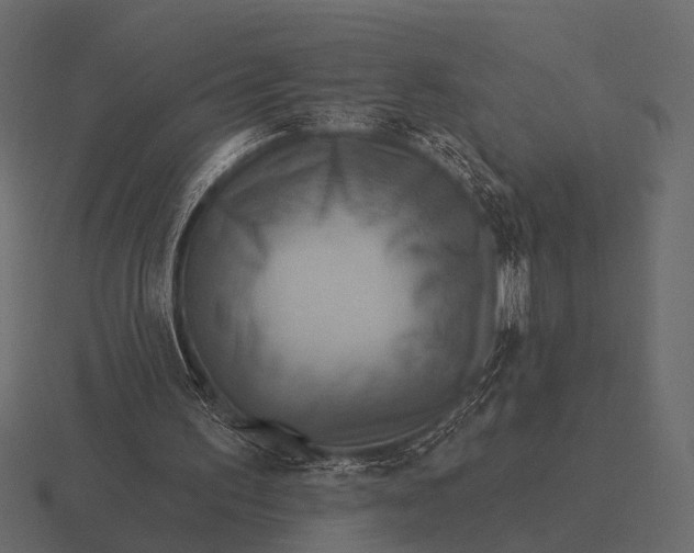 X0000116550195200912241602