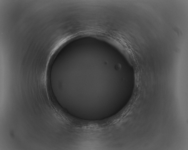 X0000116550196200912241602