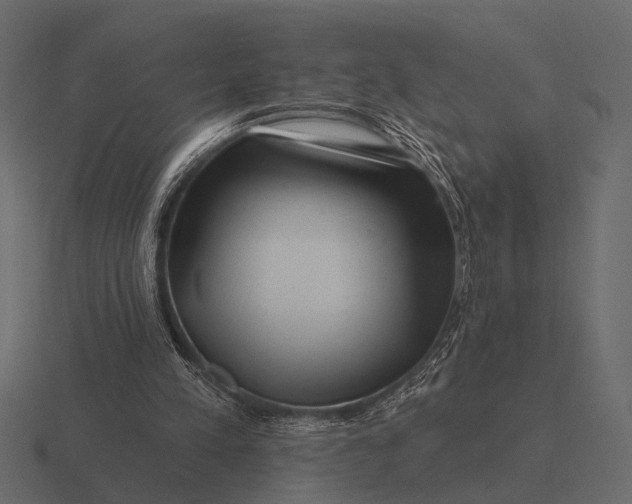 X0000116550197200912241602