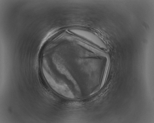 X0000116550198200912241602