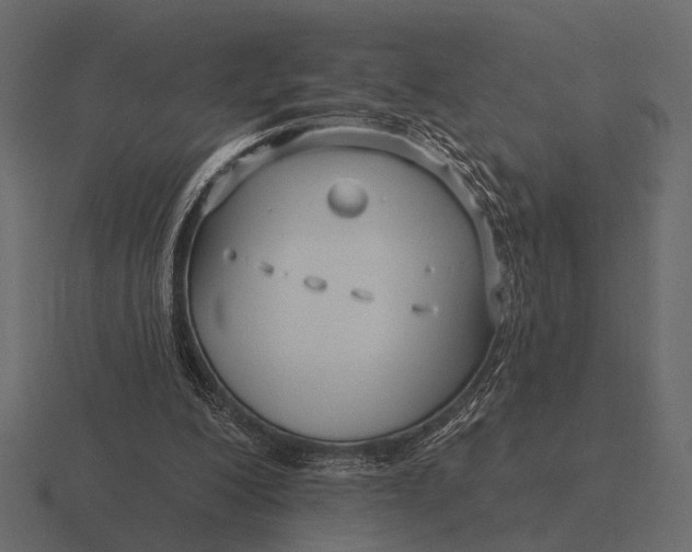 X0000116550200200912241602