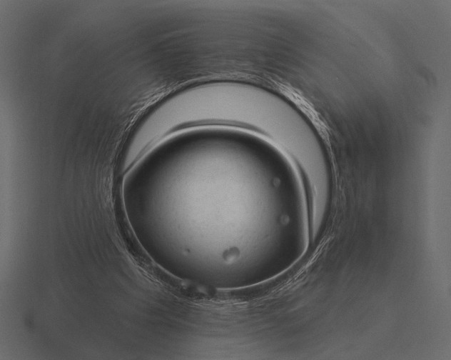 X0000116550201200912241602