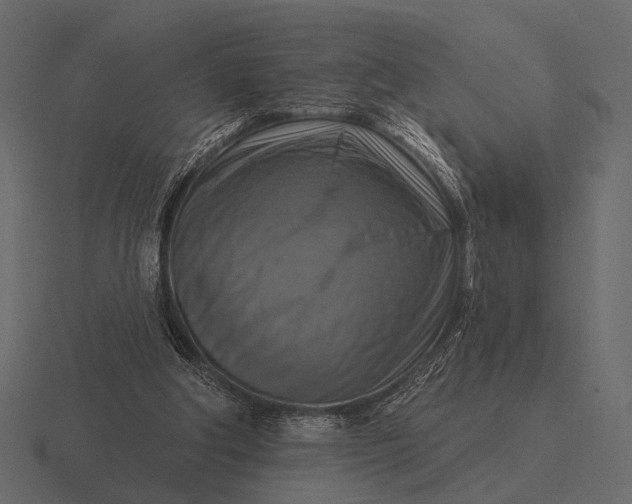 X0000116550202200912241602