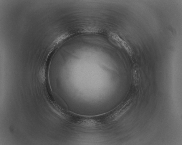 X0000116550203200912241602