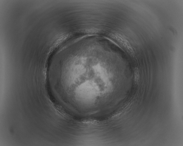 X0000116550206200912241602