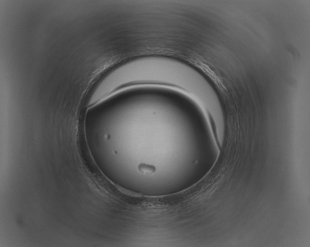 X0000116550207200912241602