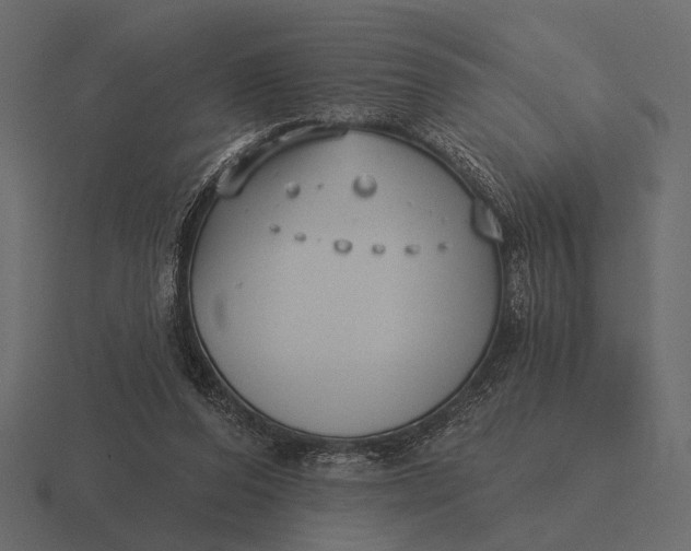 X0000116550208200912241602