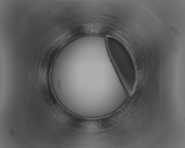 X0000116550209200912241602