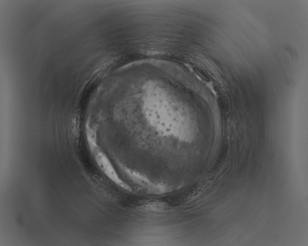 X0000116550210200912241602