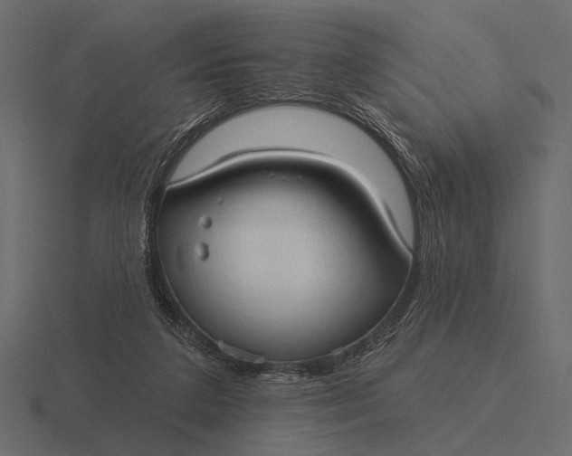 X0000116550211200912241602