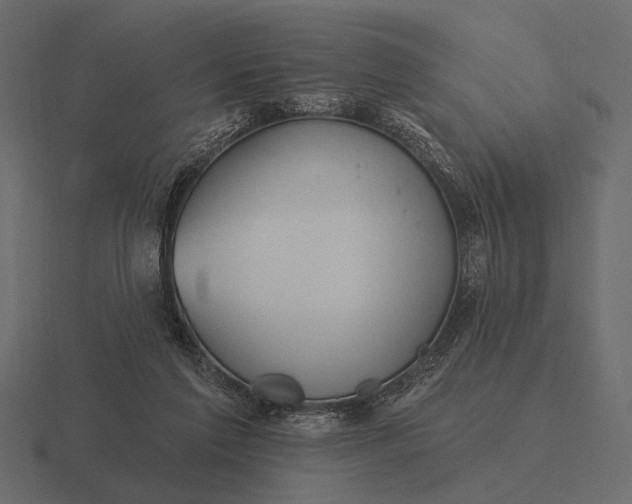 X0000116550213200912241602