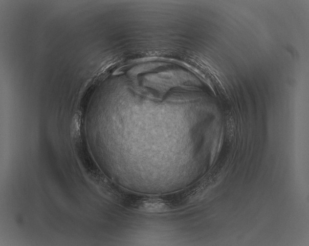 X0000116550214200912241602