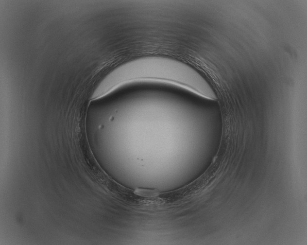 X0000116550215200912241602