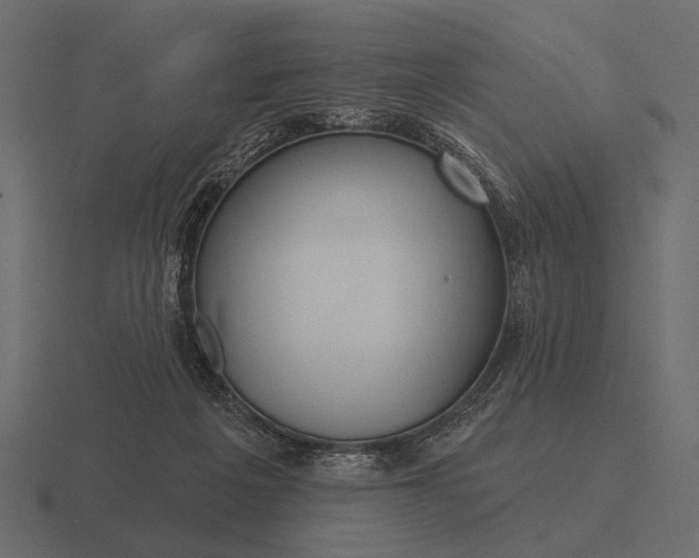 X0000116550217200912241601