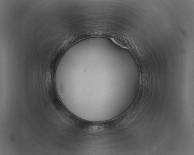 X0000116550220200912241601