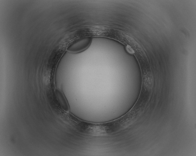 X0000116550221200912241601