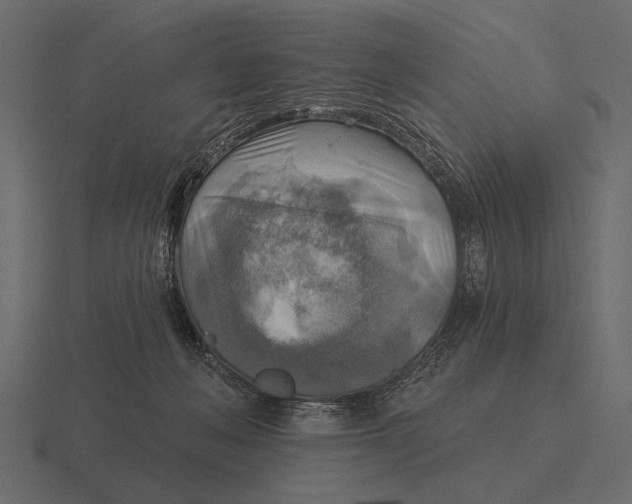 X0000116550222200912241601