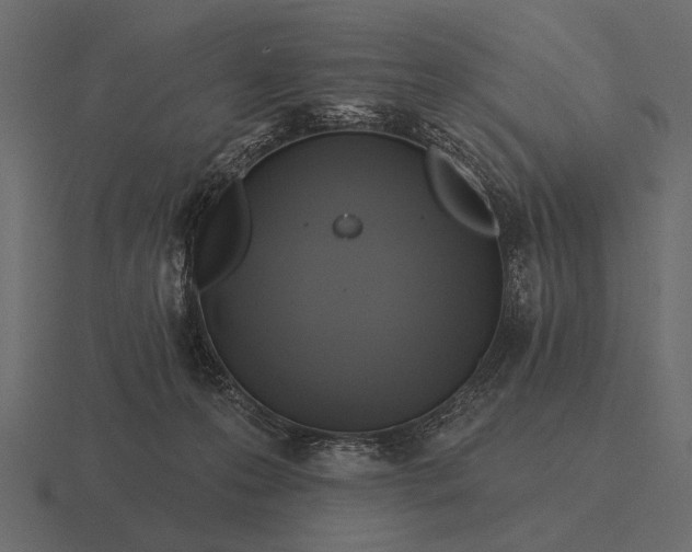 X0000116550223200912241601