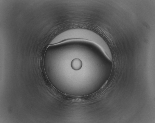 X0000116550225200912241601