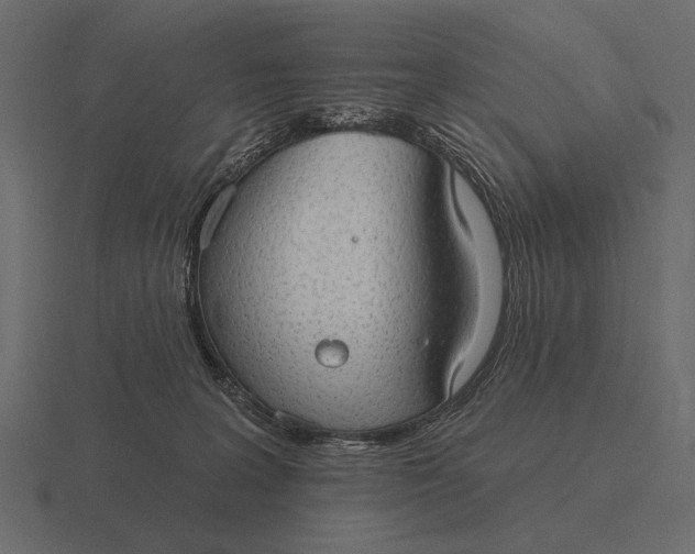 X0000116550227200912241601