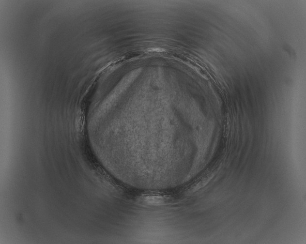 X0000116550228200912241601