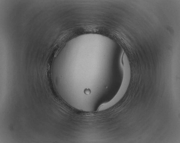 X0000116550229200912241601