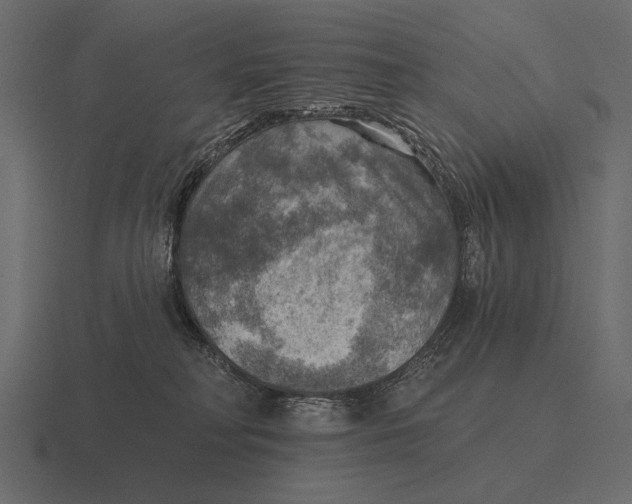 X0000116550230200912241601