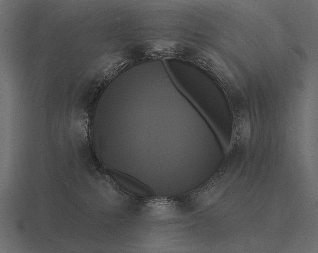 X0000116550231200912241601