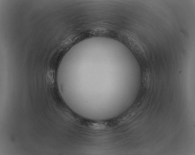 X0000116550232200912241601