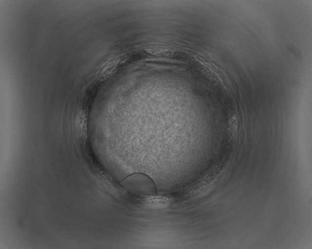 X0000116550234200912241601