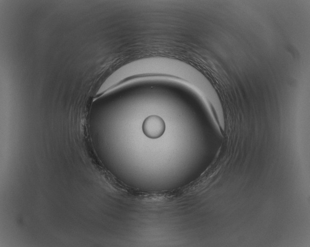 X0000116550235200912241601