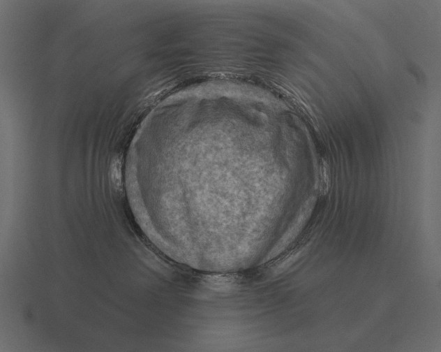 X0000116550238200912241601